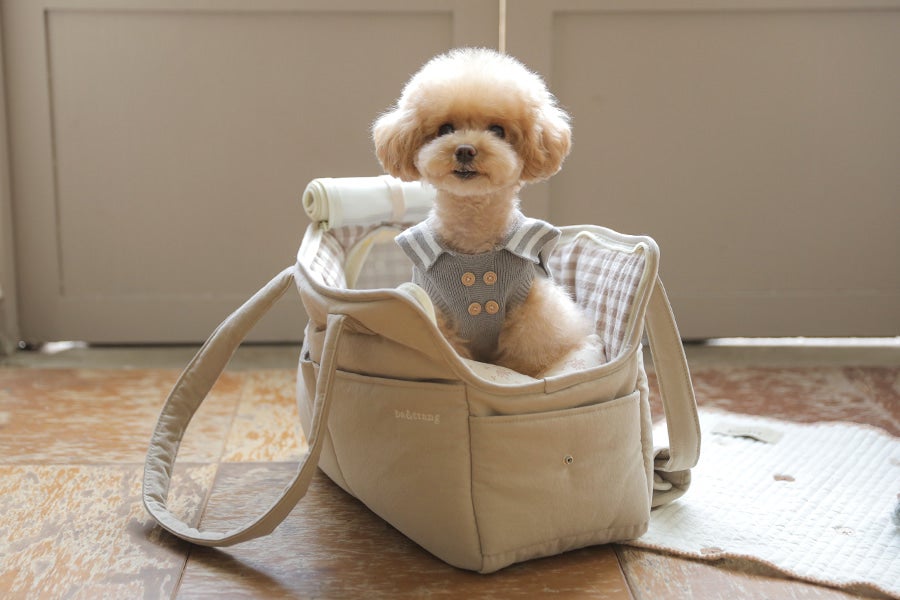 ベージュチェック キャリーバッグ 小型犬用　SMサイズ　ba&ttang check two in one shoulder bag | ba&ttang Japan