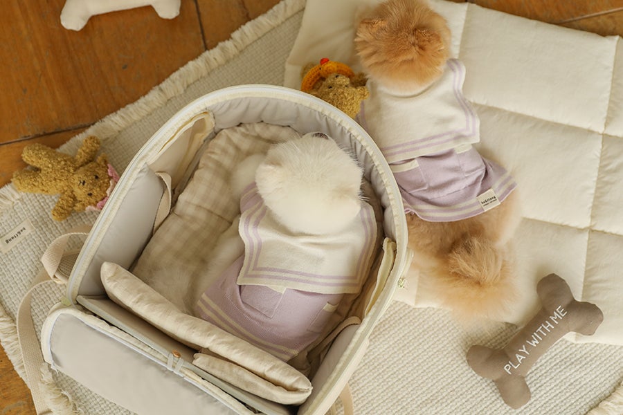 ソフトカーブ バックパック（アイボリー） | ba&ttang Japan