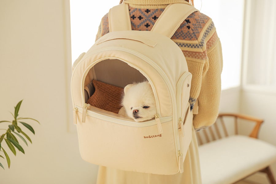 ソフトカーブ バックパック（アイボリー） | ba&ttang Japan