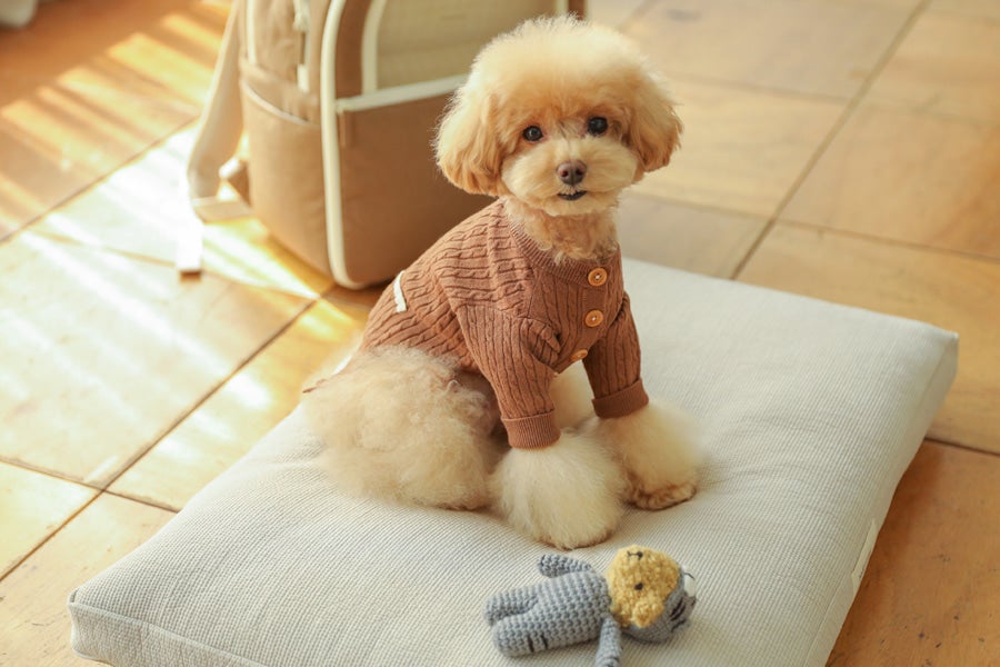 ポンチョ ニット （アイボリー） | ba&ttang Japan