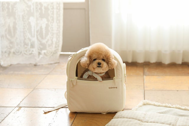 外出用品 | ba&ttang Japan